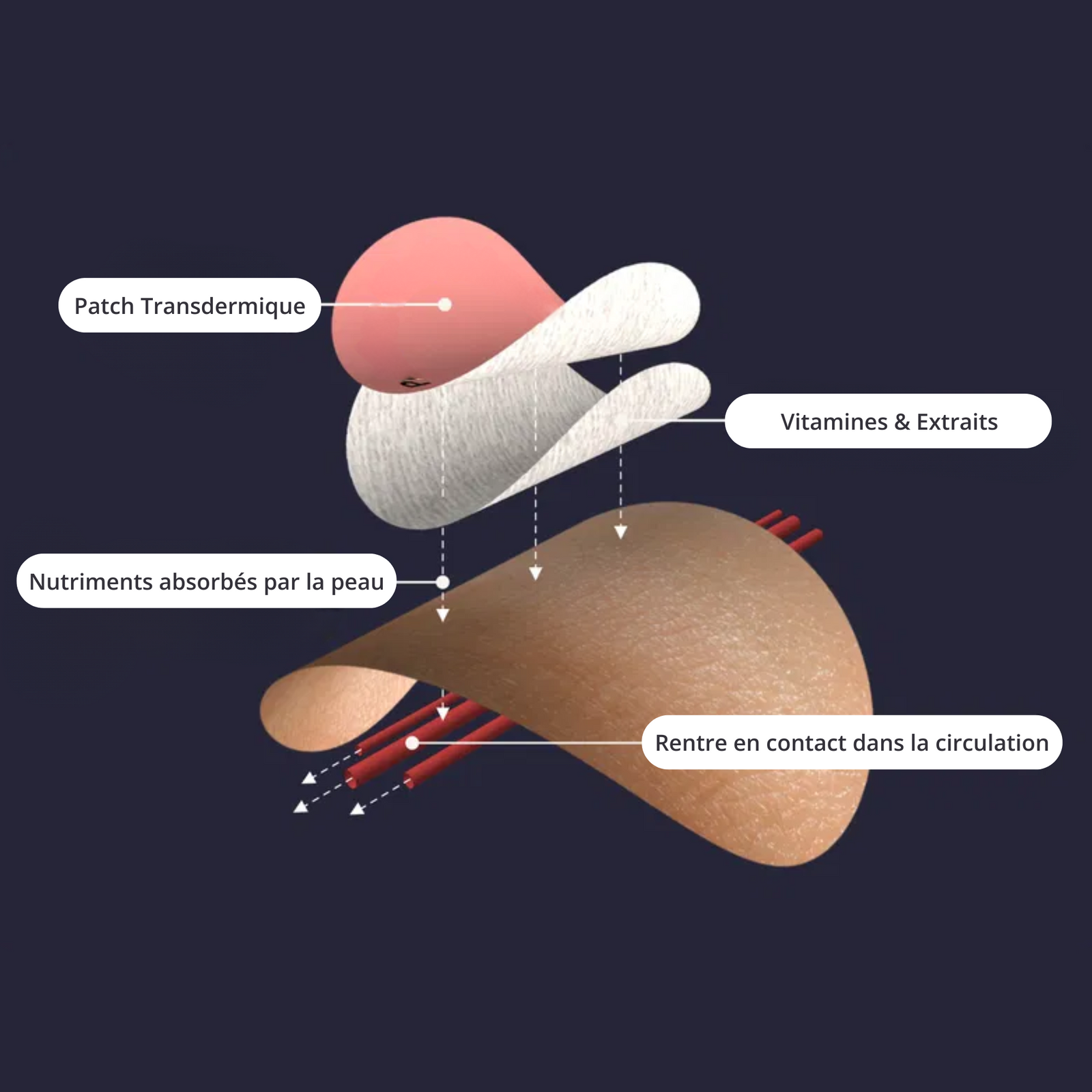 Formulé par nos spécialistes internes